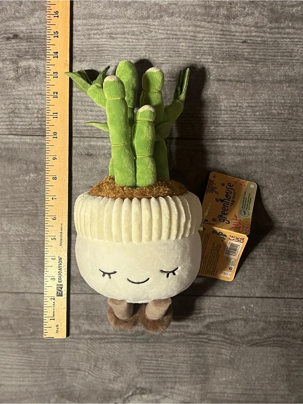 New!! Greenhouse by RUSS plush bamboo planter “Malia” cream pot